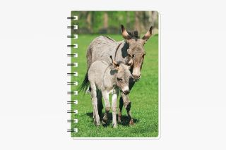 Obrázek z Notes 3D 9,3x13,5cm - osel (12) 